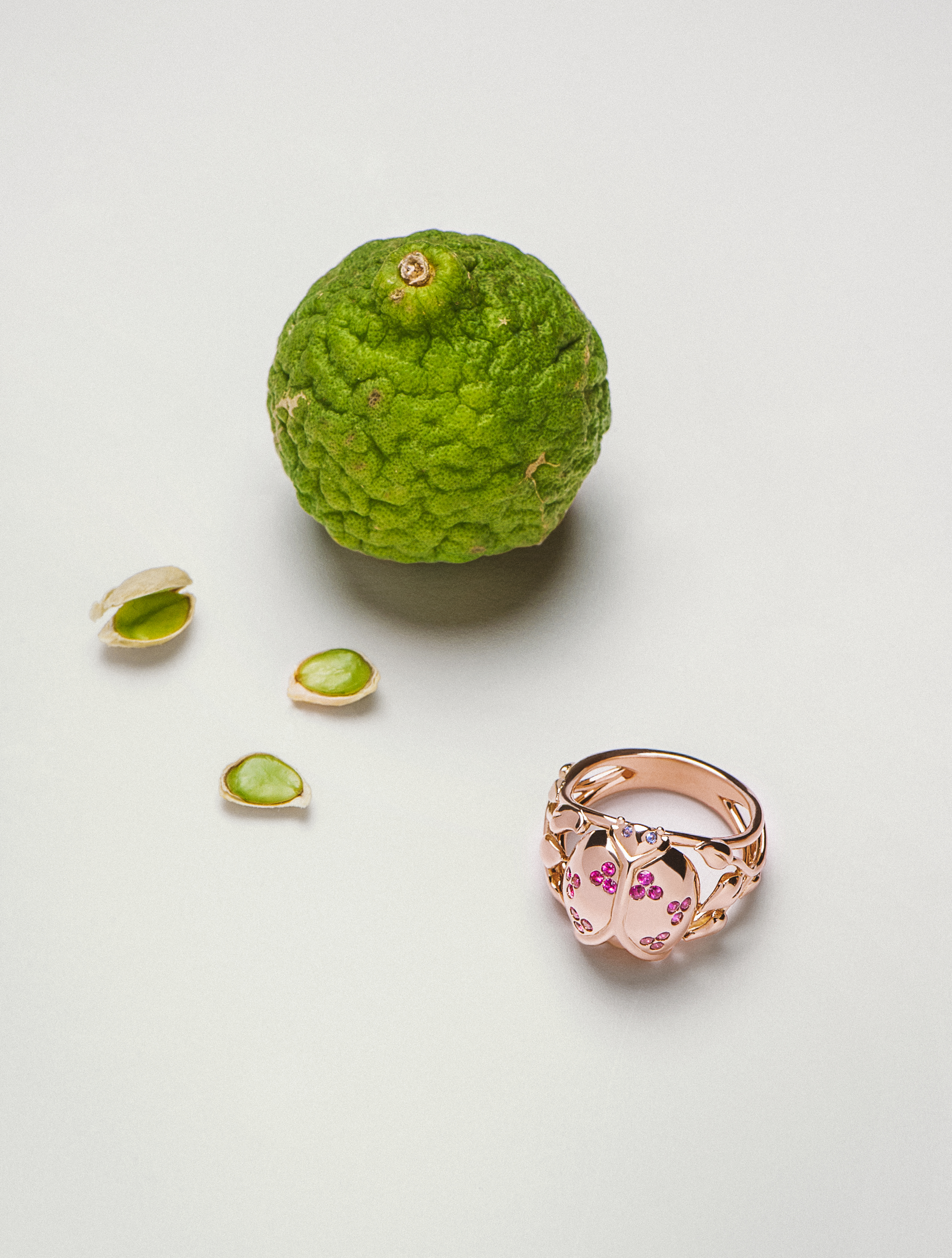 Stylisme Aurelie Bidermann - Marion Alberge - Décoratrice d'Intérieur