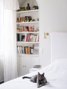 Décoration paris appartement - Marion Alberge